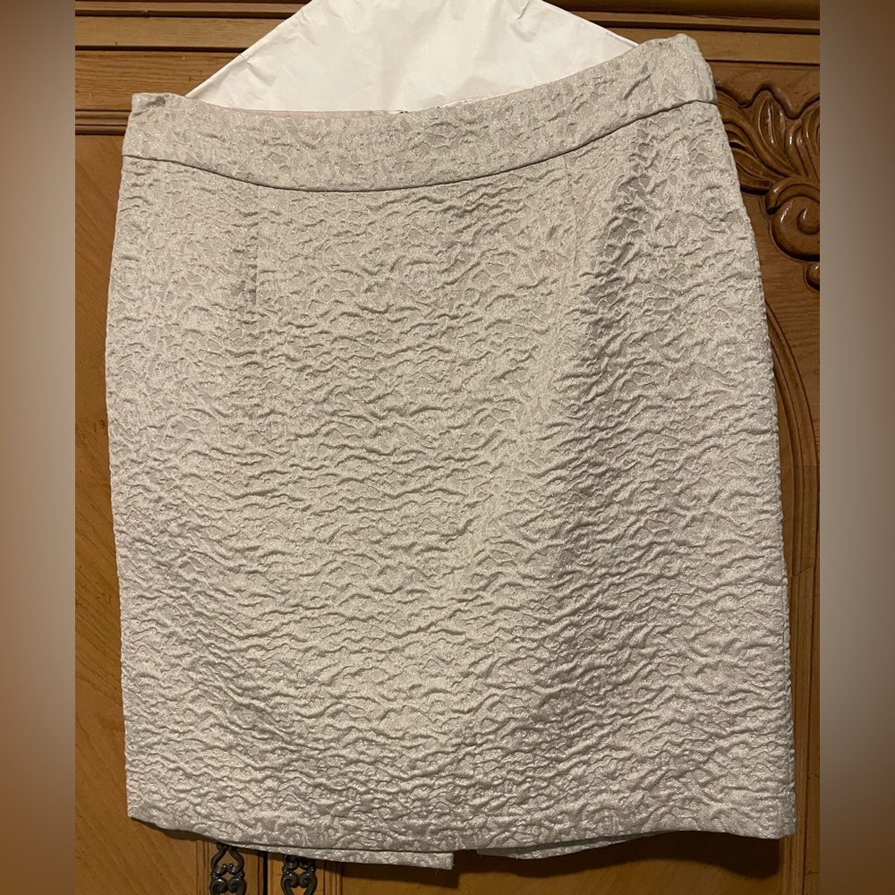 Banana Republic Skirt / Size 12